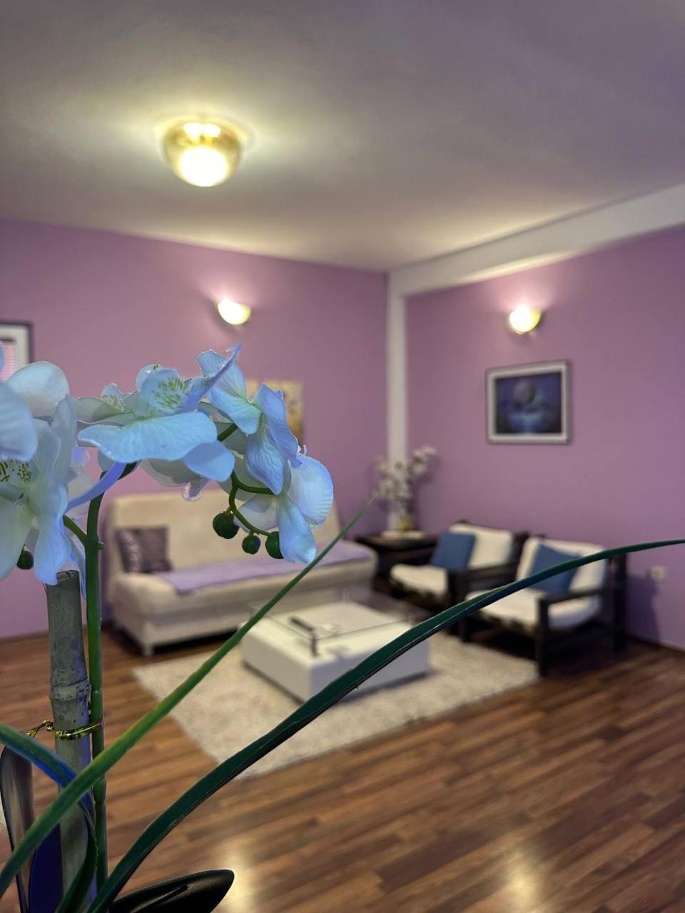 Riaho Apartment Mostar Ngoại thất bức ảnh